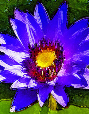 Water Lily Blue Wood Art