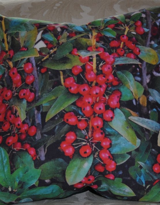 Holly Berry